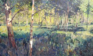 Woodland, 2014 by Martin Decent